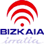 Bizkaia Irratia